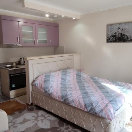 Alex 2 Apartman Vrnjačka Banja Buitenkant foto