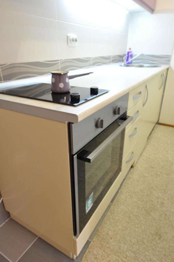 Alex 2 Apartman Vrnjačka Banja Kamer foto